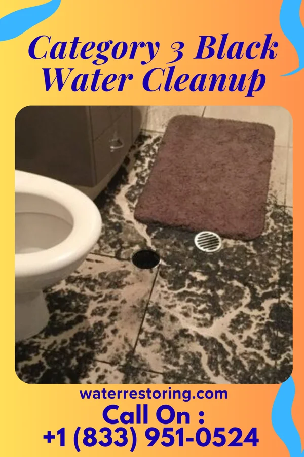 Category 3 Black Water Cleanup in Smith Valley, NV