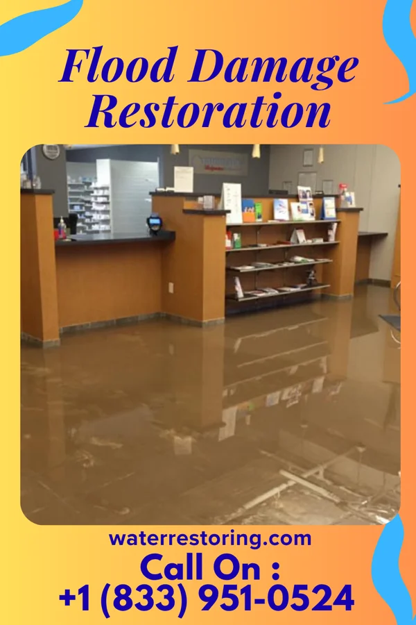 Flood Damage Restoration in Smith Valley, NV